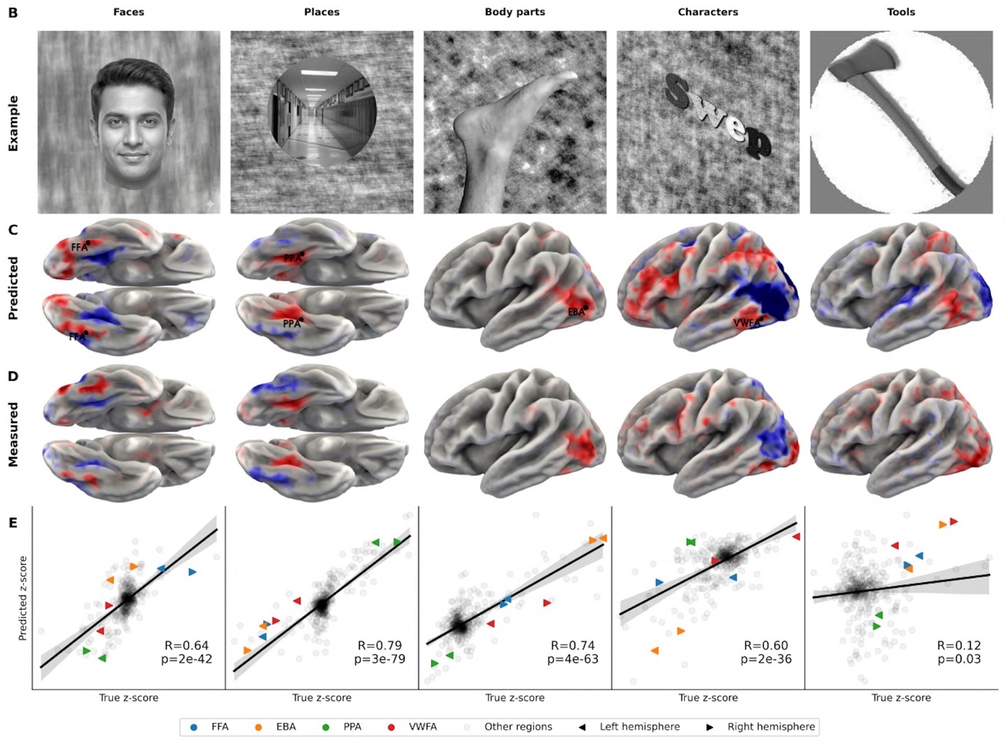 在视觉实验中,TRIBE v2 识别了已知的面部、地点、身体和角色的专门大脑区域。顶部:展示图片。中间:模型预测。底部:实际测量的大脑活动。| 图源:Meta