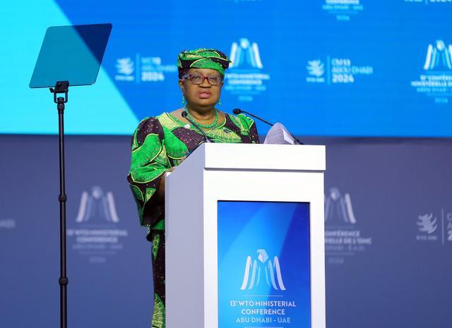 世贸组织总干事伊维拉