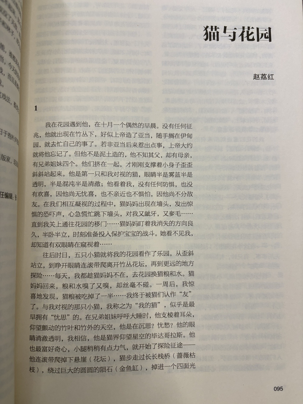 《猫与花园》原文刊发于2025年6月。翻拍自《万松浦》文学双月刊