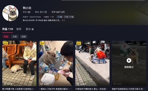捡瓶子攒10万小狗疑被毒狗团伙盯上 其主人被扒出姓名住址等私隐信息
