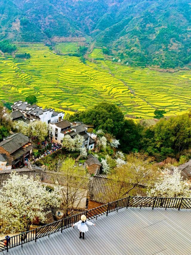 春日最调治的神情