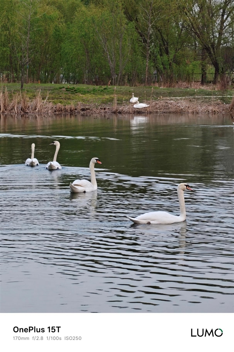 小屏不妥协配置反升级！一加15T手机深度评测：小巧玲珑的满血性能旗舰