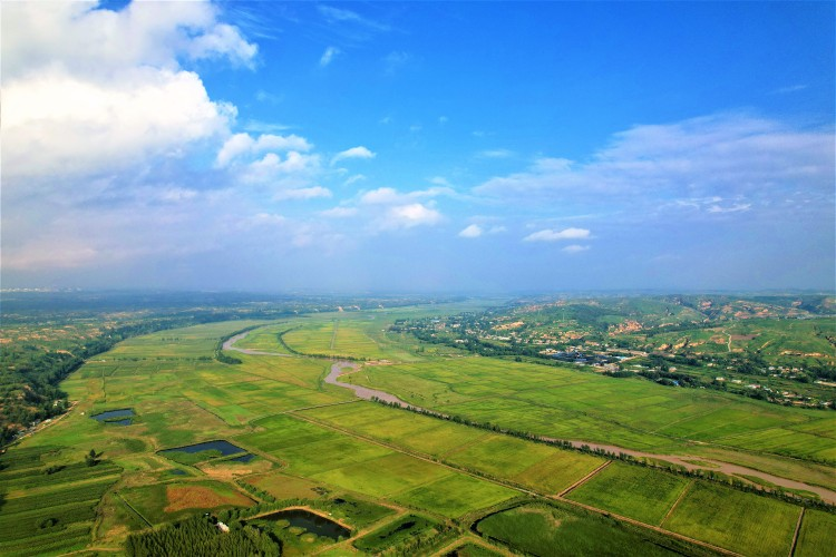 无定河沿岸万亩稻田 图片来自横山区委宣传部