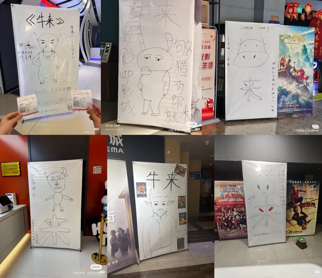 图源小红书