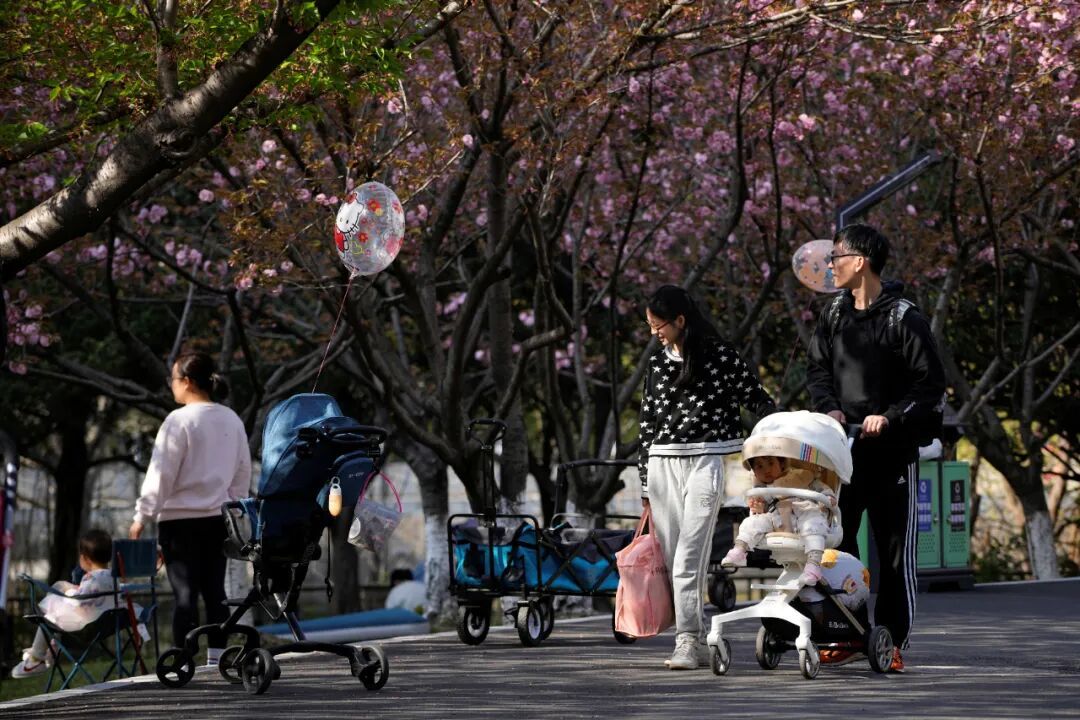 上海某公园,一位家长推着婴儿车。