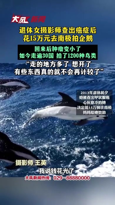 退休女摄影师查出癌症后 花15万元去南极拍企鹅，回来后肿瘤变小了，如今走遍30国拍1200种鸟“走的地方多了 想开了 ”有些东西真的就不会再计较了