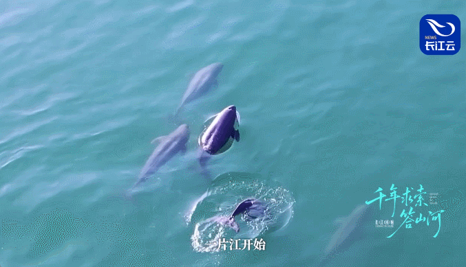 长江回响丨千年求索答山河