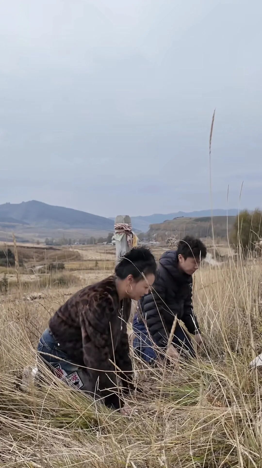 ▲王晨正与妈妈为爷爷扫墓。