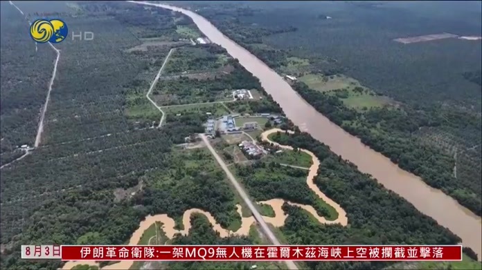 马来西亚鳄鱼袭人频发 持证捕猎成对策
