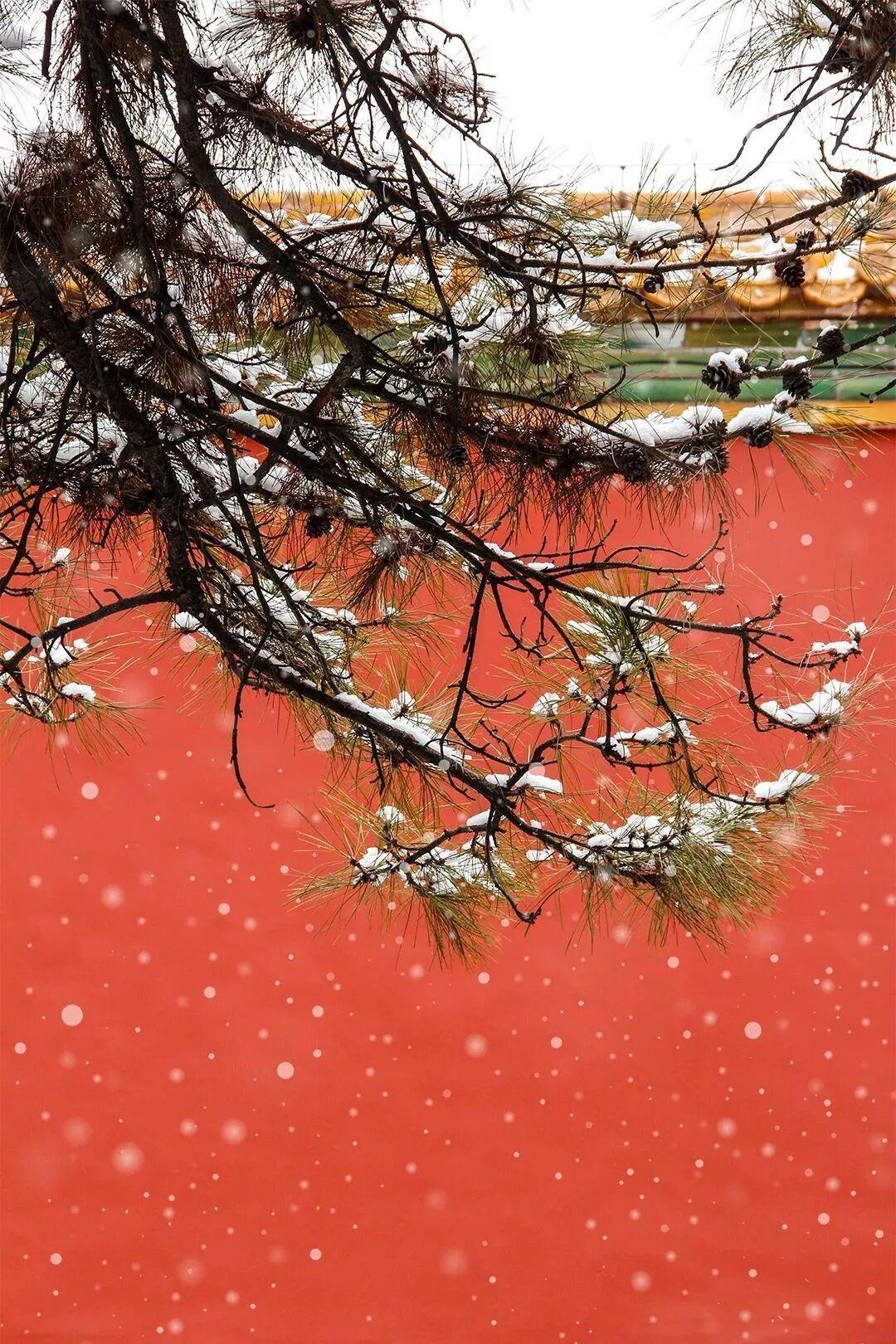 当第一片雪花悄落红墙,飞檐覆上蓬松的白,这座六百年的城,悄然变回记忆里的紫禁城。(央视新闻综合故宫博物院文化创意馆)