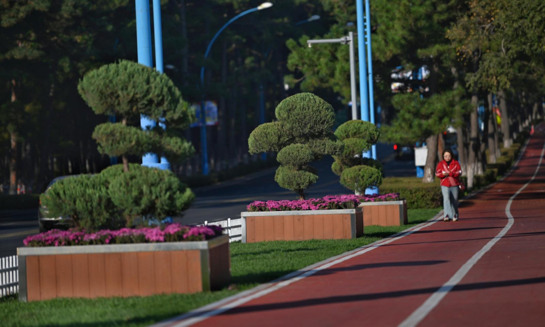 8dd96637-4daa-4631-8ec7-5c722a16382c.png