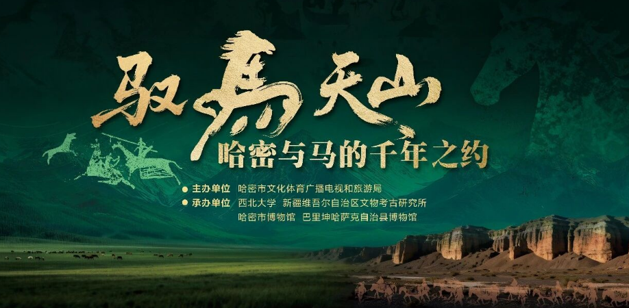 哈密市博物馆《驭马天山——哈密与马的千年之约》特展。哈密市博物馆供图
