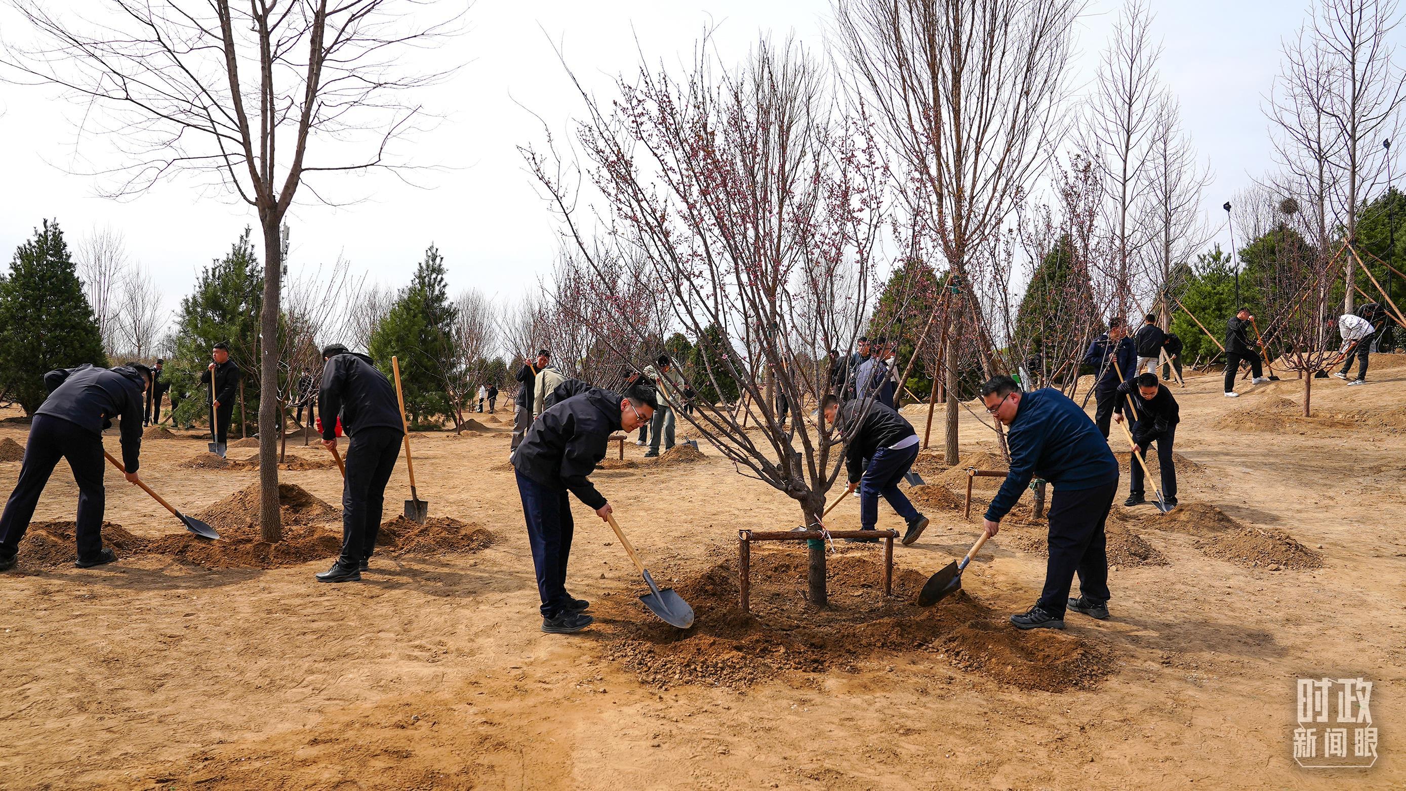 △昌平区百善镇植树点。（总台央视记者王冰拍摄）