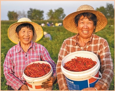 欢笑和汗水礼赞丰收(新时代画卷)