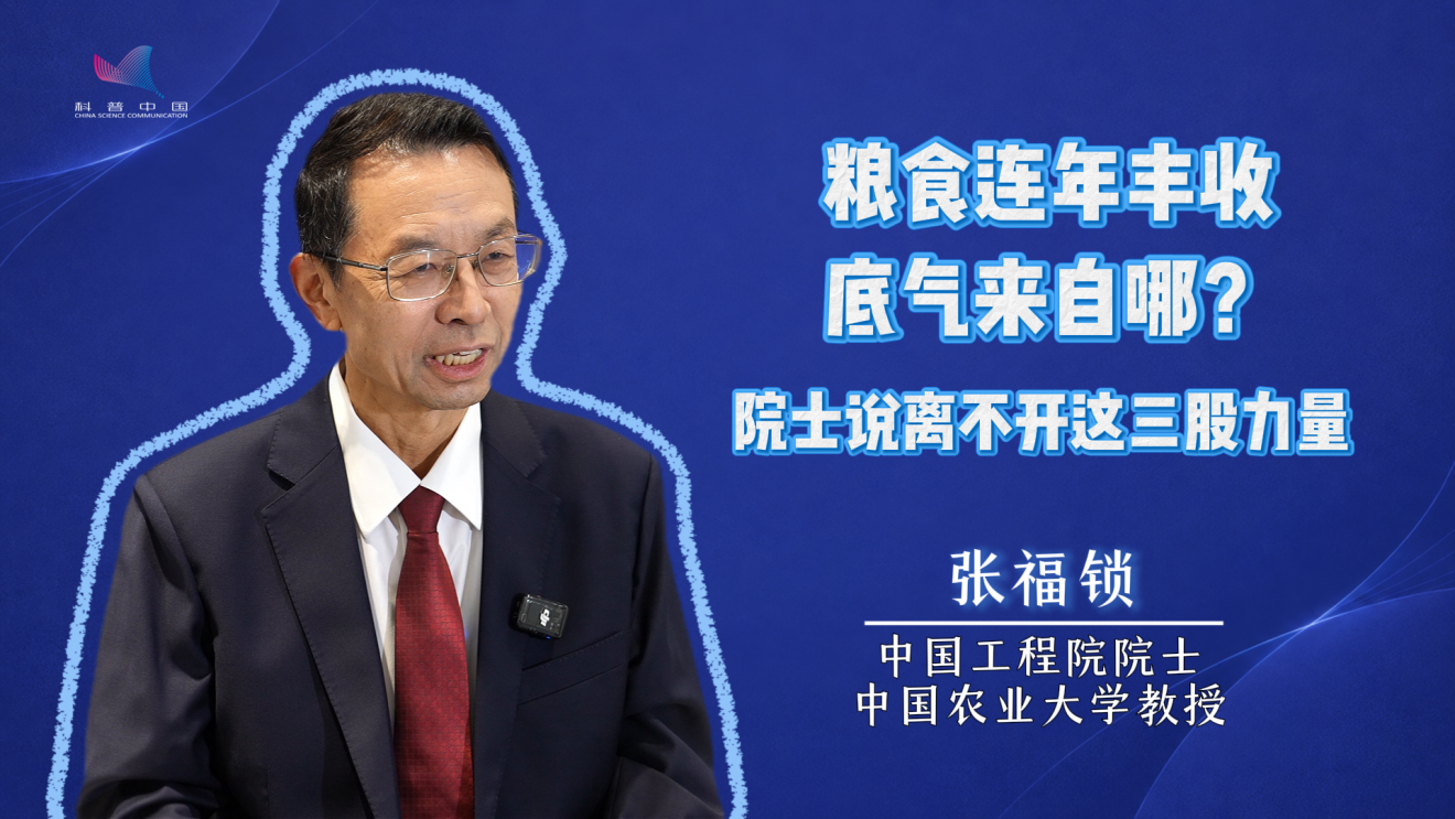 丰收密码｜粮食连年丰收，底气来自哪？