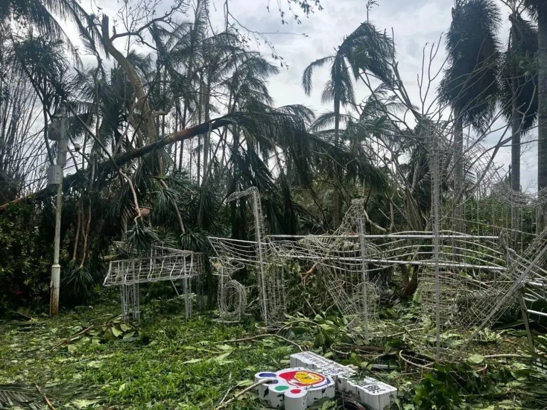 ◎ 2024年,台风“摩羯”摧毁了海南热带野生动植物园99%的热带雨林景观和微生态系统|图源:海南热带野生动植物园官方公众号