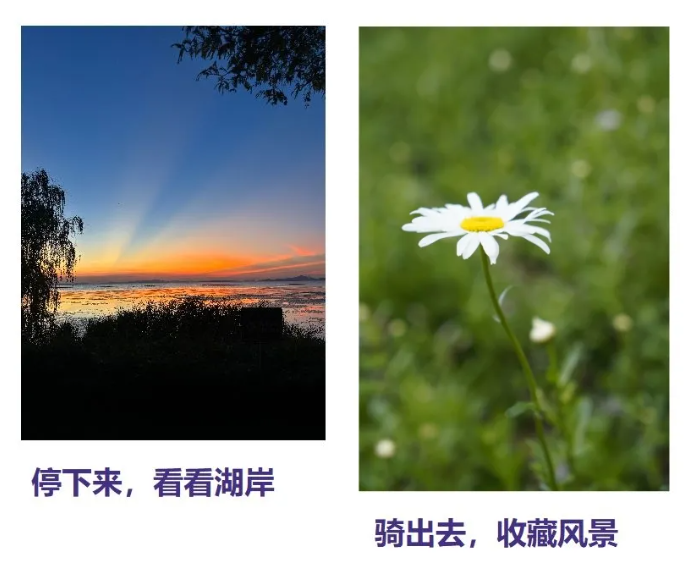 cad9facc-f476-4db2-bb8a-e0a4ae210a93.png