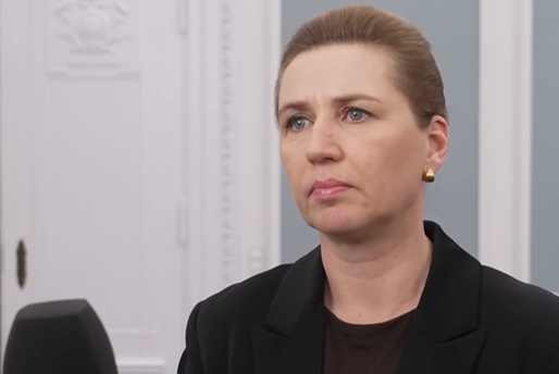 弗雷泽里克森当地时日接受丹麦TV2电视台采访。图为采访视频截图