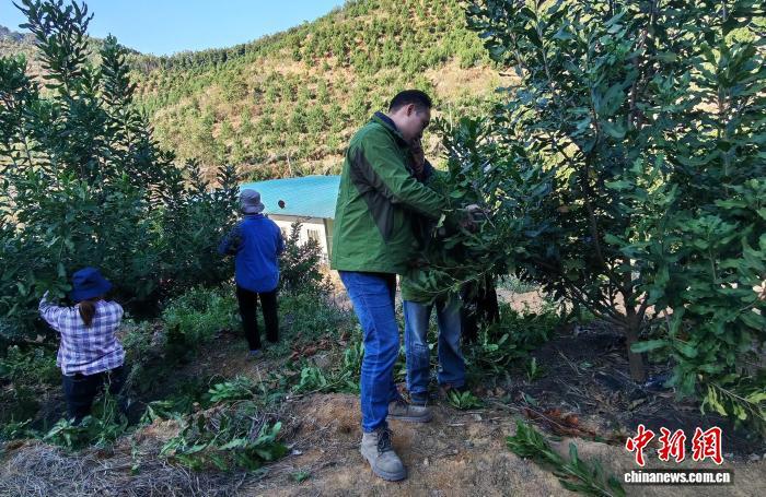 2025年12月，李永琪(左三)在基地工作。　(受访者 供图)