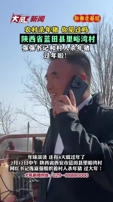 农村杀年猪 你见过吗？陕西省蓝田县里峪湾村 强强书记和村人杀年猪过年啦