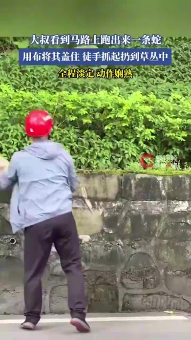 男子用抹布盖住蛇淡定捏住丢山里，男子徒手抓蛇被赞云淡风轻