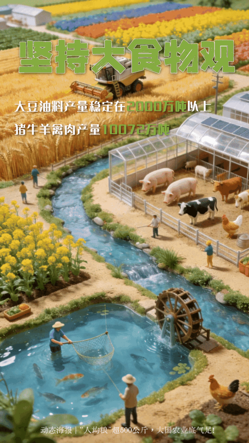 动态海报 | “人均粮”超500公斤，大国农业底气足！