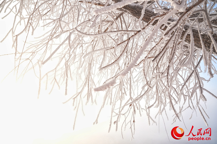 吉林雾凇景观。人民网记者李洋摄