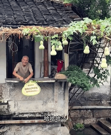 @上有天堂 下有苏杭oye