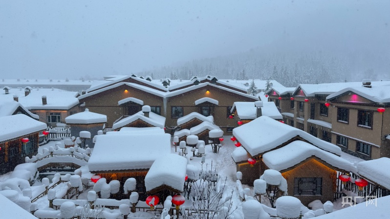 冰雪塑造出“中国雪乡”的童话世界(央广网记者 庞淼 摄)