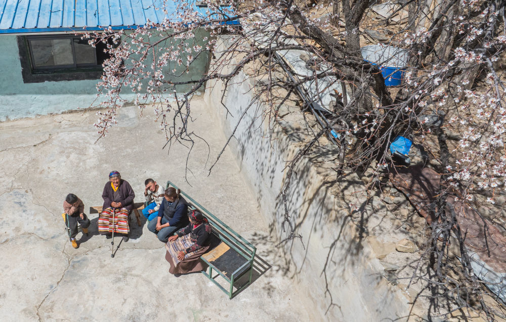 3月26日,次仁桑姆(左二)和晚辈在宗卡村家中的院子里聊天(无人机照片)。