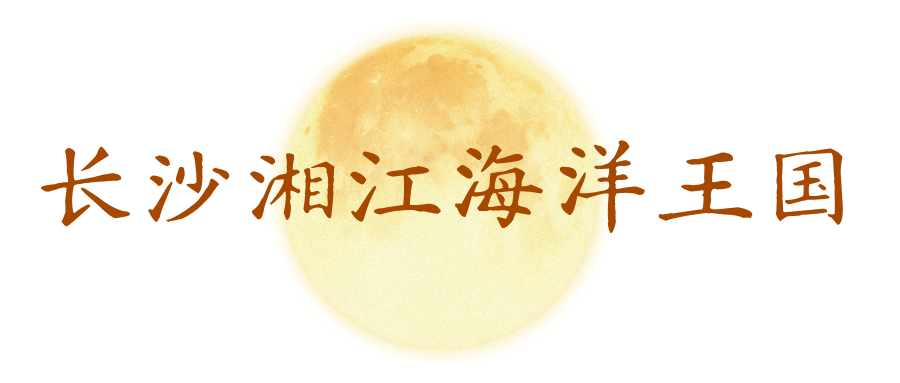 默认标题__2026-09-20+16_03_34.png