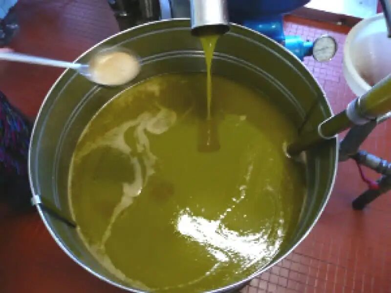 Metal vat of green liquid