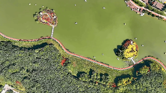 西安浐灞湿地公园景色（央广网记者 侯凯奇 摄）