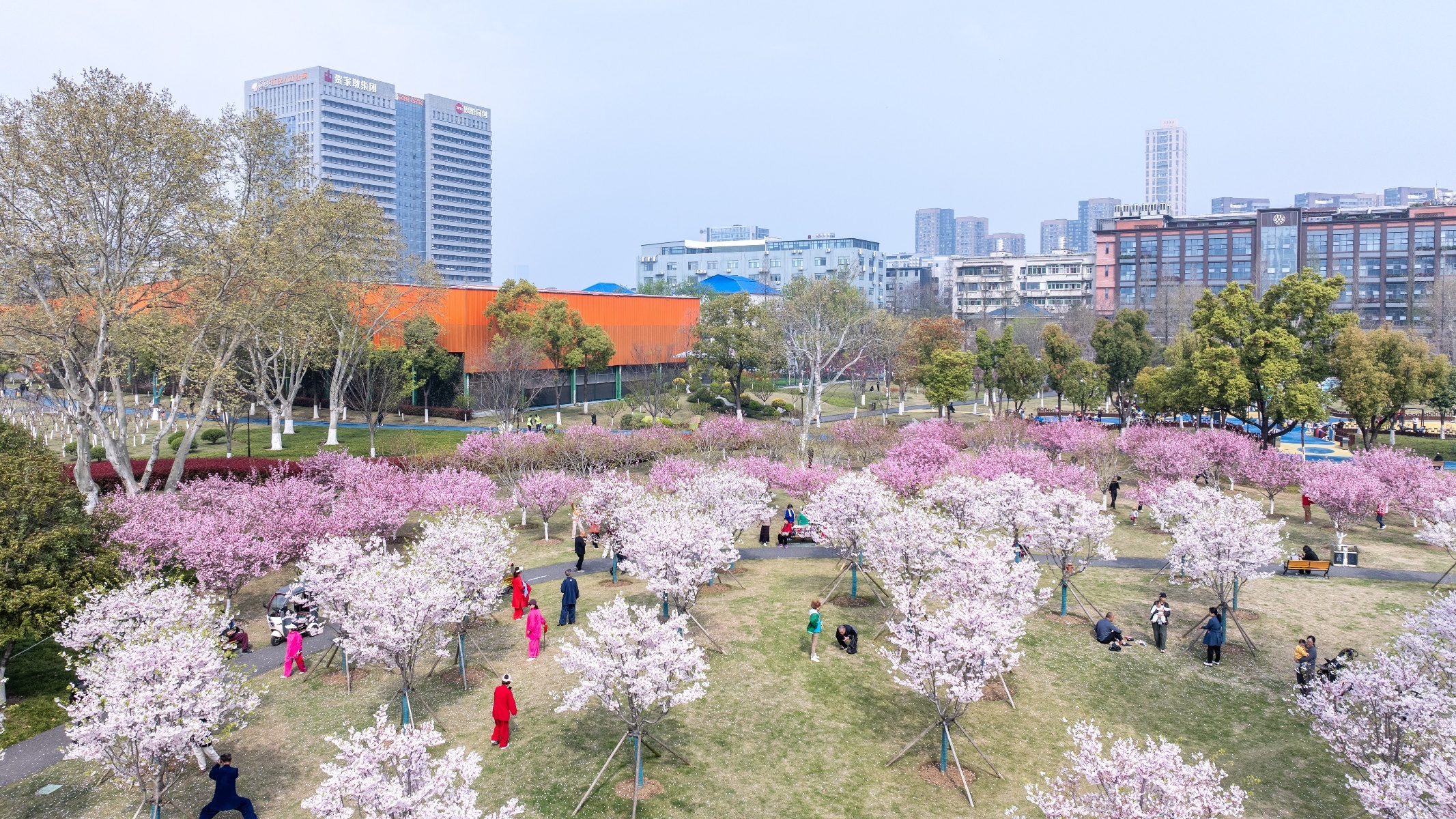 微信图片_20260327214453_1768_137