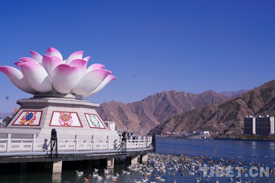 拉萨河畔 摄影:宋俊