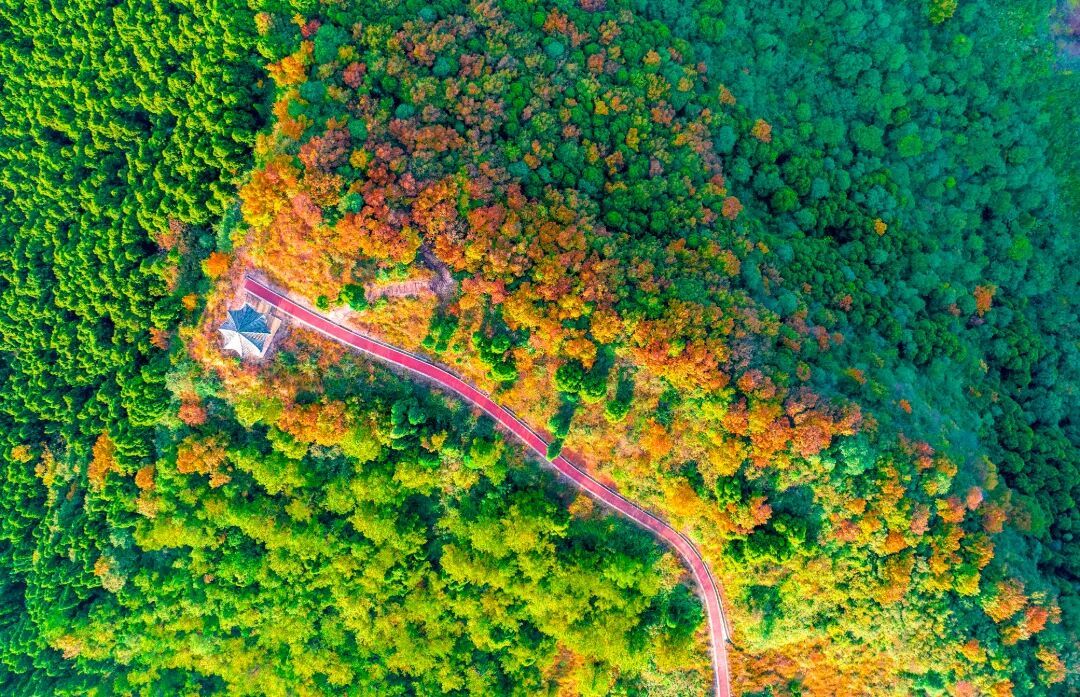 龙脊天路.jpg