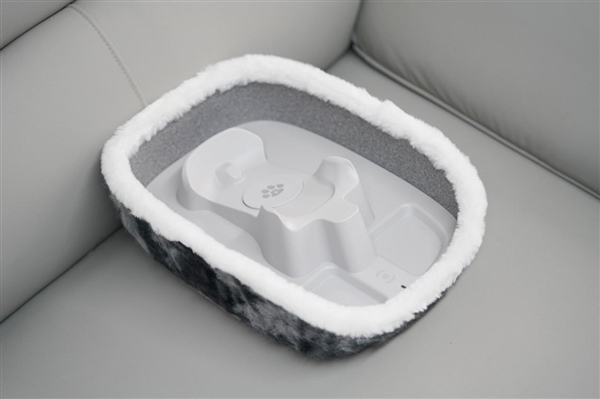 会撒娇能成长!科沃斯毛团陪伴机器人图赏