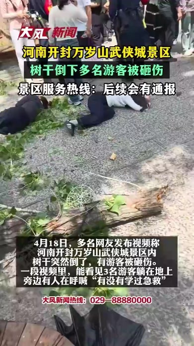 河南开封万岁山武侠城景区，树干倒下多名游客被砸伤 景区服务热线：后续会有通报