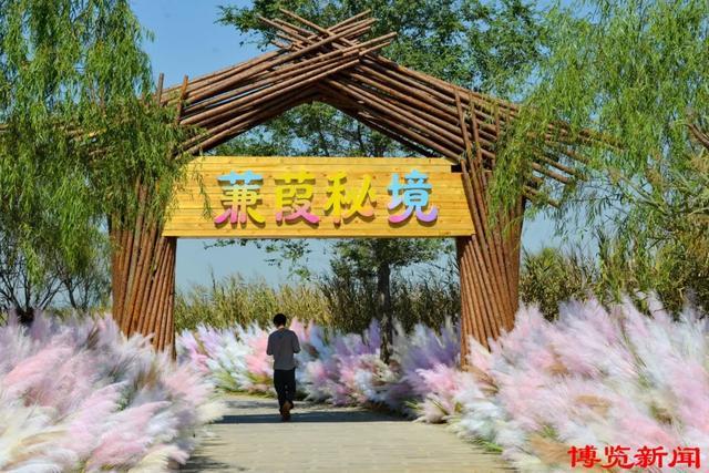 马踏湖景区为游客解锁秋日限定浪漫体验。
