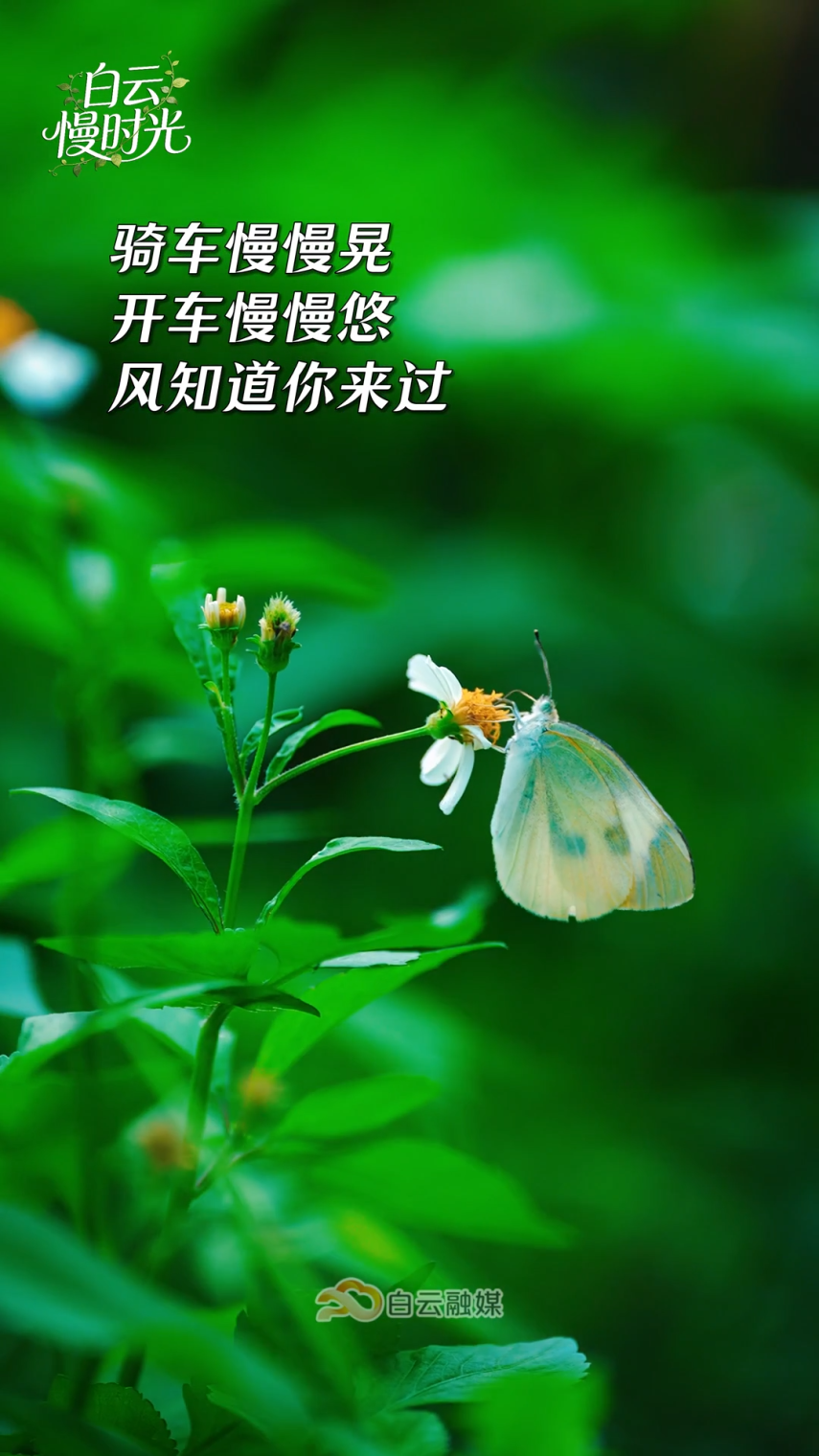 微信图片_2026-09-30_173455_862.png