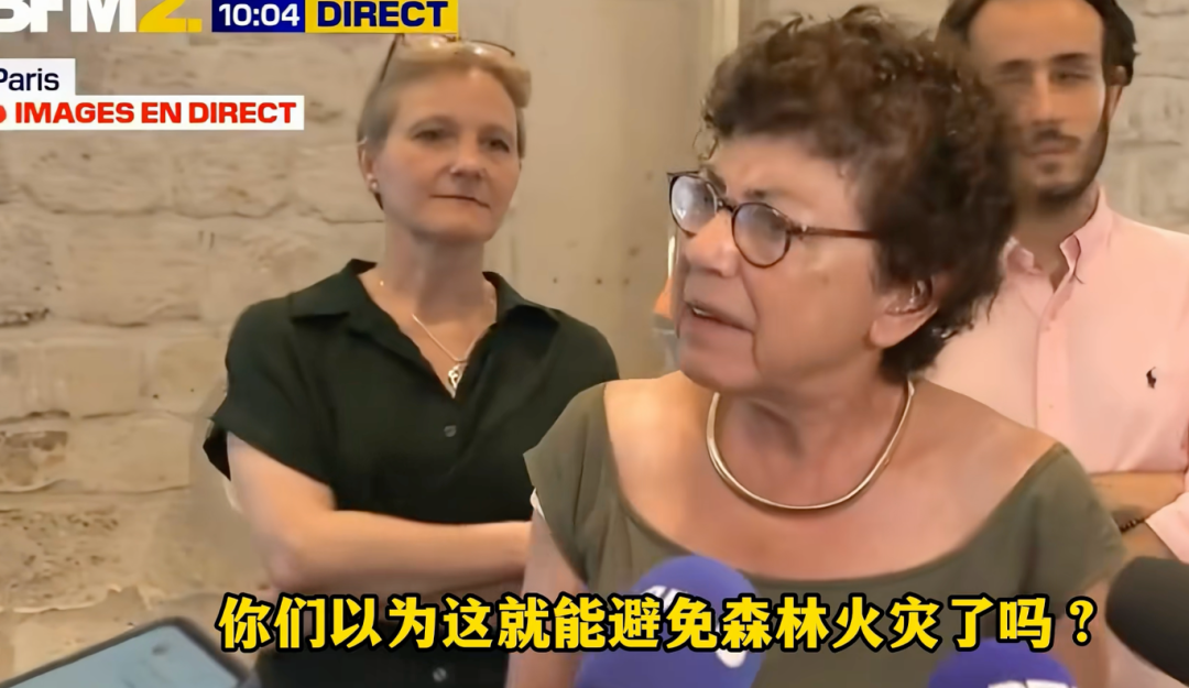法国环保部长的发言