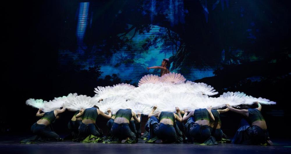 2026年2月6日，云南演艺股份有限公司（云南省歌舞剧院）演员在排练傣族舞蹈节目《森灵》。该节目荣获第十五届全国舞蹈展演优秀节目奖和第三届云南省原创舞蹈展演一等奖。