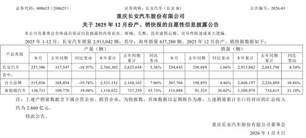 2025中国汽车第一城之争尘埃落定：重庆近250万辆领跑 合肥新能源破120万辆