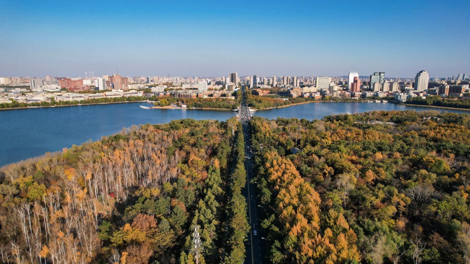 层林尽染的长春市南湖公园。中共长春市朝阳区委宣传部供图