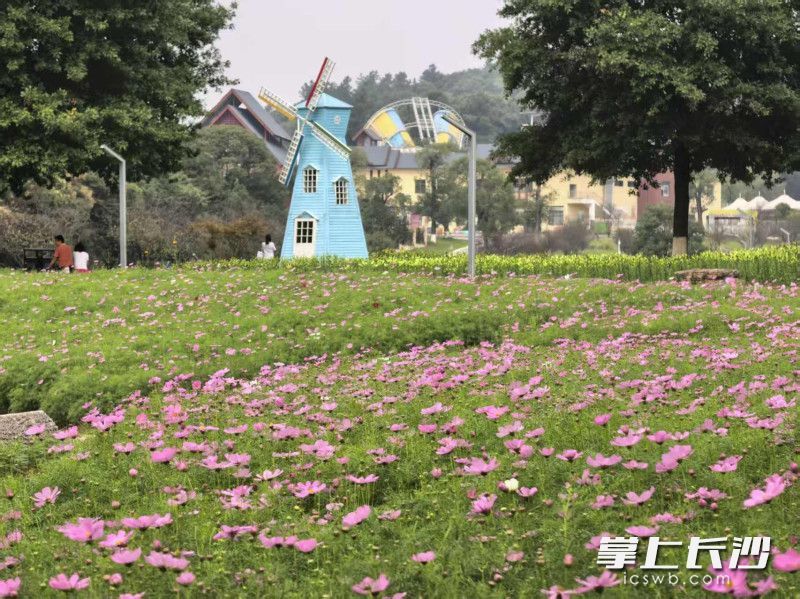 长沙园林生态园只等你来。