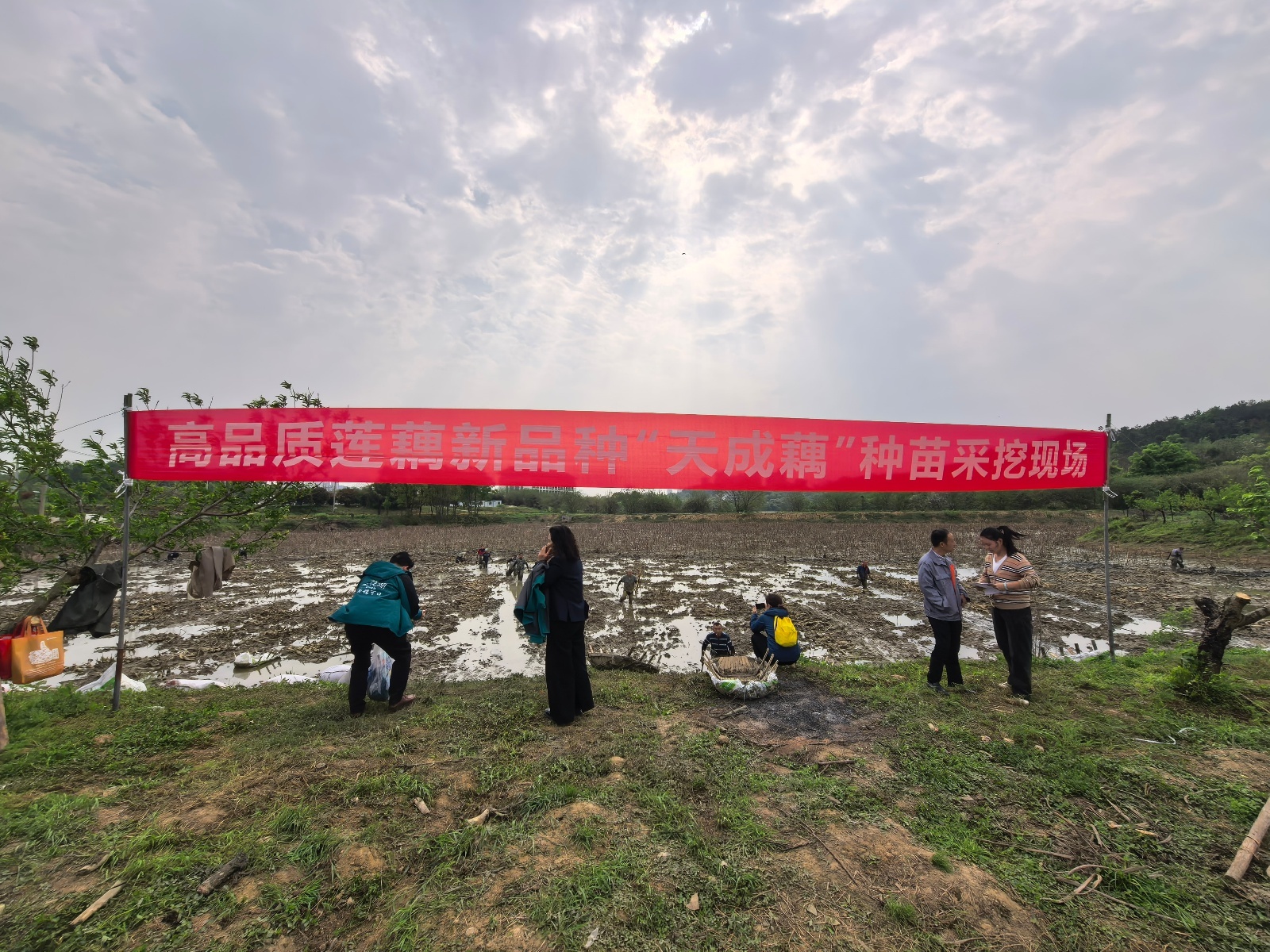 微信图片_20260408164118_1869_137