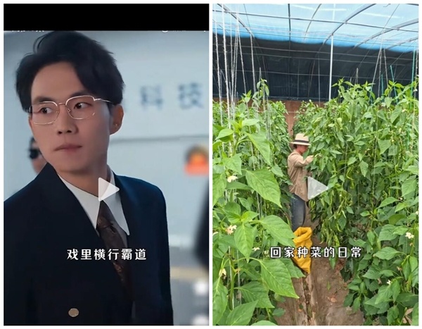 受AI冲击 短剧霸总回家种地