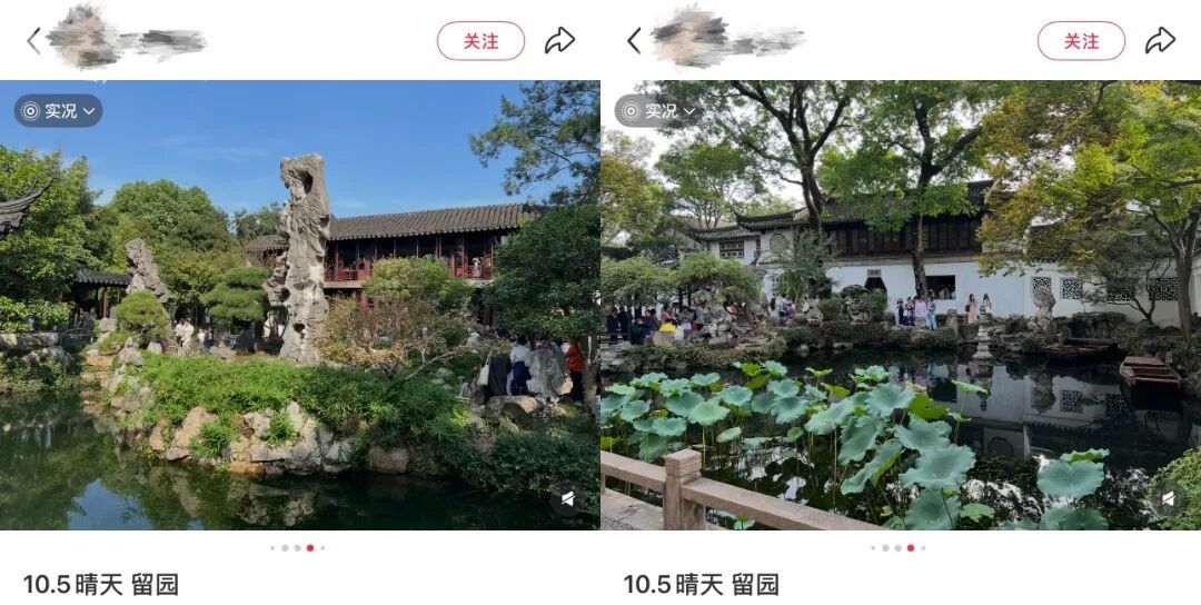 园林2_副本.jpg