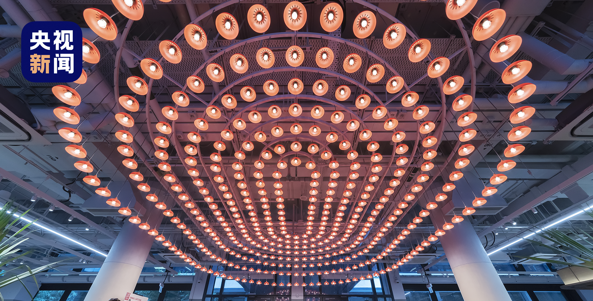 视频丨五一假期，跟着电影打卡粤港澳，太好拍了！