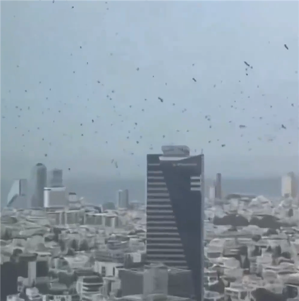 以色列城市上空惊现成千上万乌鸦 鸟类专家：常规季节性迁徙
